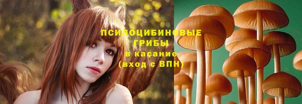 тгк Майский
