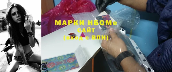 стаф Магас