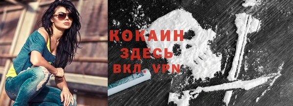 стаф Магас
