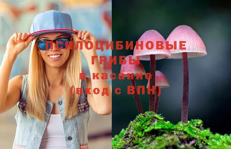 Галлюциногенные грибы Psilocybe  Ефремов 