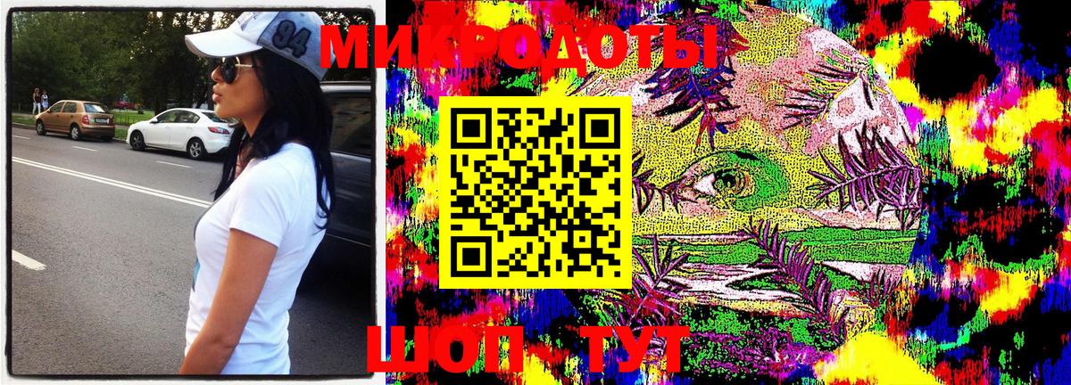 Псилоцибиновые грибы Psilocybe  Ефремов  Псилоцибиновые грибы Cubensis 