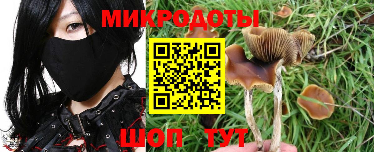 Галлюциногенные грибы мухоморы  Вход с VPN  Ефремов 